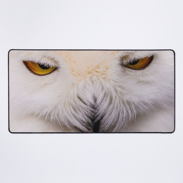 Item preview, The Face of a Snowy Owl designed and sold by Dalyndigital Photography.