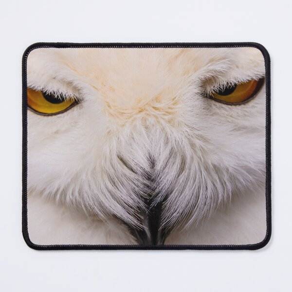 Item preview, The Face of a Snowy Owl designed and sold by Dalyndigital Photography.