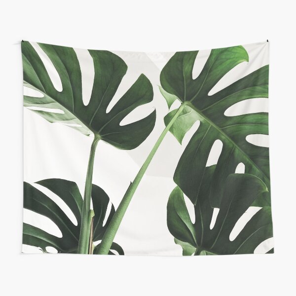 Tapestry