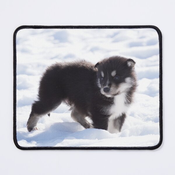Item preview, puppy designed and sold by joan manel zamora.