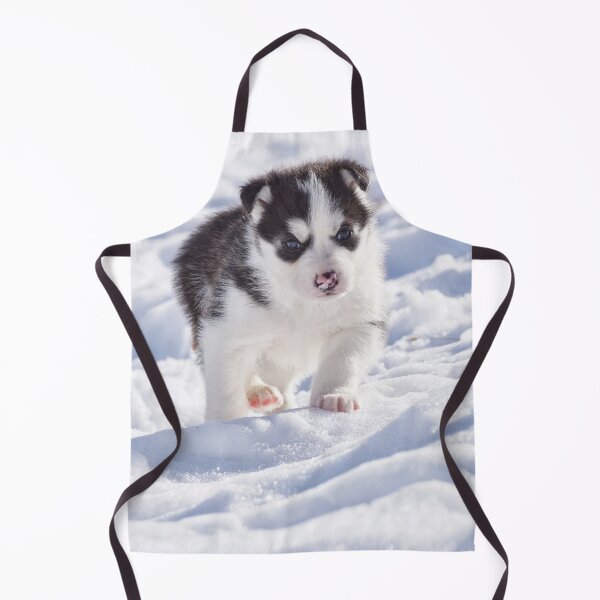 Item preview, py designed and sold by joan manel zamora.