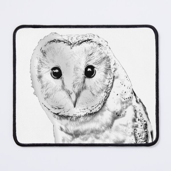 Item preview, Barn Owl pencil conversion designed and sold by Dalyndigital Photography.