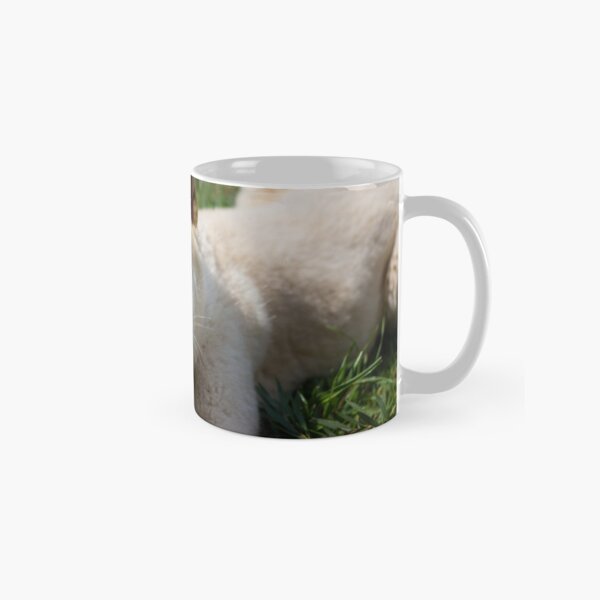 Bogong Dingo Pup Classic Mug