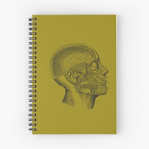 Item preview, Anatomical Vintage Drawing Skull - Human Heart, Kidney, Brain, Torso, Rib Cage designed and sold by perfektdesign.