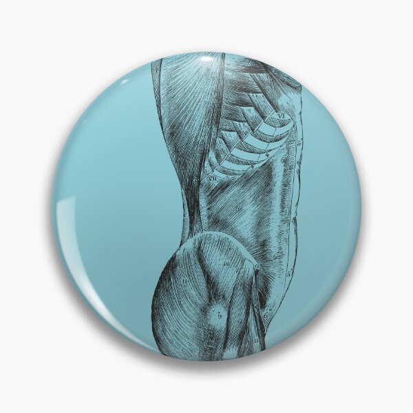 Item preview, Anatomical Vintage Drawing Torso - Human Heart, Kidney, Brain, Skull, Rib Cage designed and sold by perfektdesign.