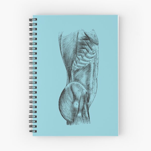 Item preview, Anatomical Vintage Drawing Torso - Human Heart, Kidney, Brain, Skull, Rib Cage designed and sold by perfektdesign.
