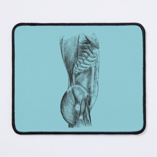 Item preview, Anatomical Vintage Drawing Torso - Human Heart, Kidney, Brain, Skull, Rib Cage designed and sold by perfektdesign.