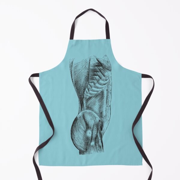 Item preview, Anatomical Vintage Drawing Torso - Human Heart, Kidney, Brain, Skull, Rib Cage designed and sold by perfektdesign.