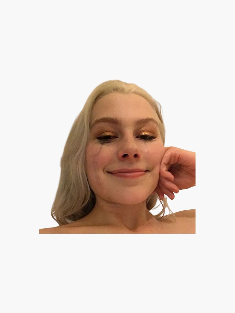 Phoebe Bridgers Sticker For Sale By Inmyfeels Redbubble