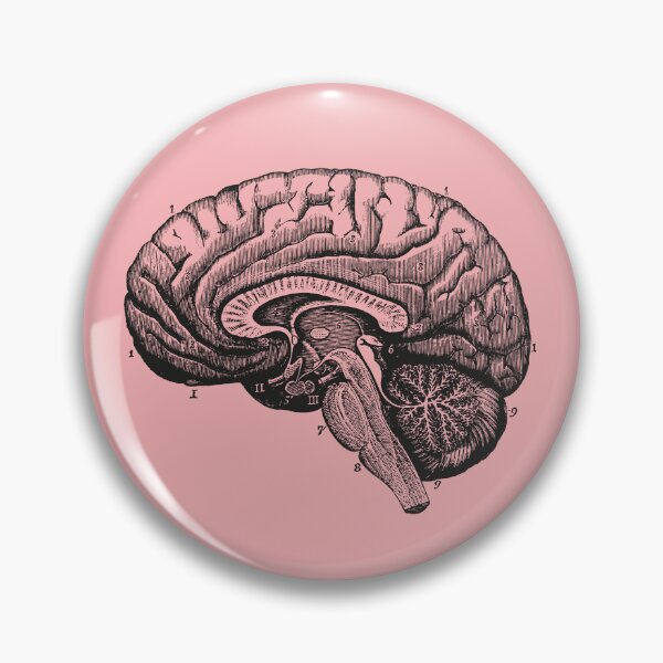 Item preview, Anatomical Vintage Drawing Brain - Human Heart, Kidney, Rib Cage, Torso, Skull designed and sold by perfektdesign.