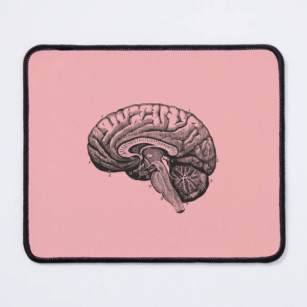 Item preview, Anatomical Vintage Drawing Brain - Human Heart, Kidney, Rib Cage, Torso, Skull designed and sold by perfektdesign.