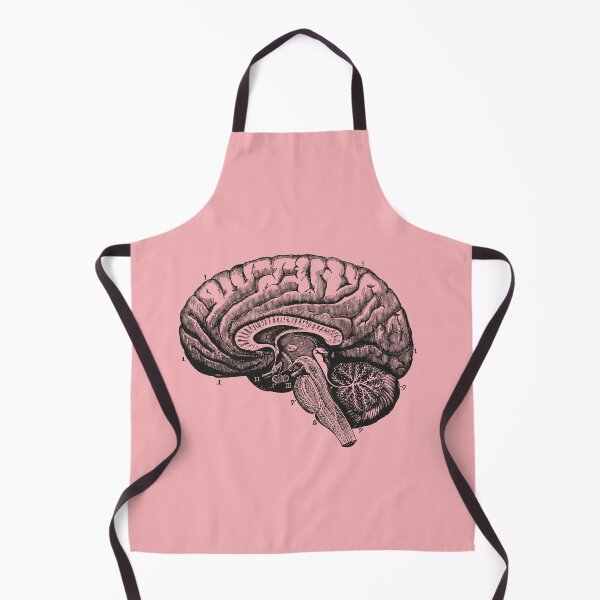 Item preview, Anatomical Vintage Drawing Brain - Human Heart, Kidney, Rib Cage, Torso, Skull designed and sold by perfektdesign.