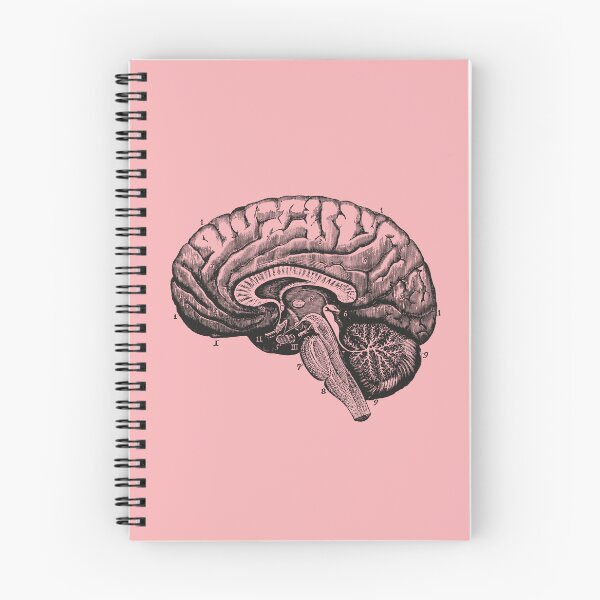 Item preview, Anatomical Vintage Drawing Brain - Human Heart, Kidney, Rib Cage, Torso, Skull designed and sold by perfektdesign.