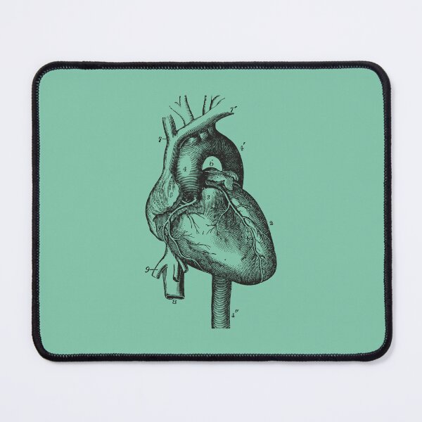 Item preview, Anatomical Vintage Drawing Heart - Human Brain, Kidney, Rib Cage, Torso, Skull designed and sold by perfektdesign.