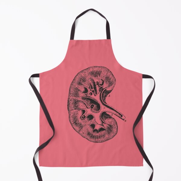 Item preview, Kidney Anatomical Vintage Drawing - Human Brain, Heart, Rib Cage, Torso, Skull designed and sold by perfektdesign.