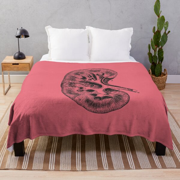 Item preview, Kidney Anatomical Vintage Drawing - Human Brain, Heart, Rib Cage, Torso, Skull designed and sold by perfektdesign.
