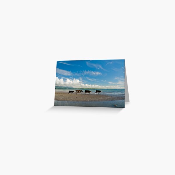 Cows strolling at the beach Greeting Card