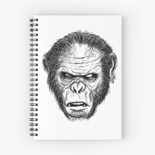 Item preview, Koba designed and sold by Juan Carlos Trujillo.