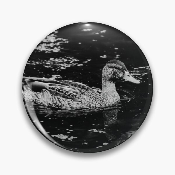 Item preview, Mallard Duck bw Antrim Nature designed and sold by eddiebarronshop.