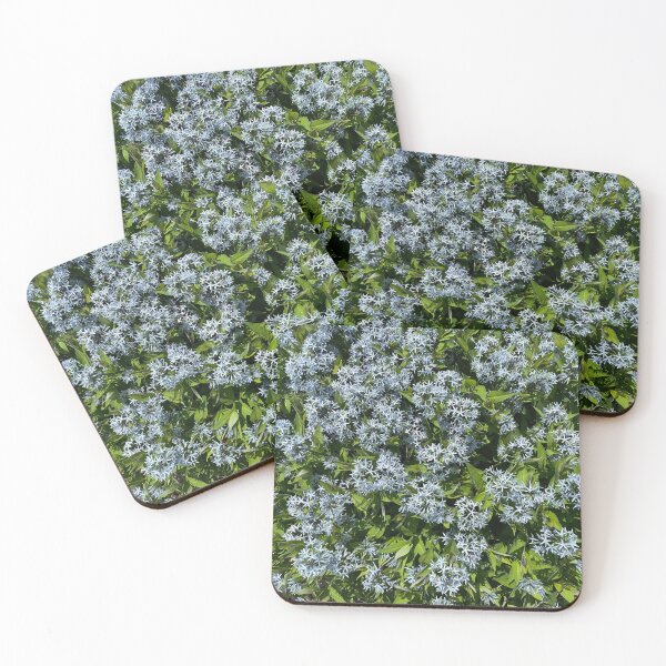 Item preview, Unknown Plant designed and sold by Warm Fuzzies By Amanda.