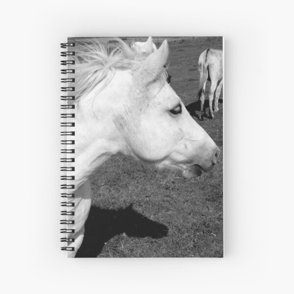 Aperçu de l'œuvre Cheval Blanc créée et vendue par aidan  moran.