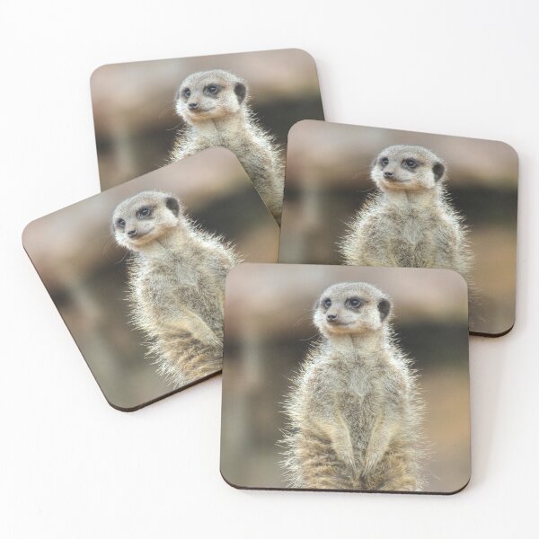 Item preview, Fluffy Meerkat designed and sold by Vicki Spindler (VHS Photography).