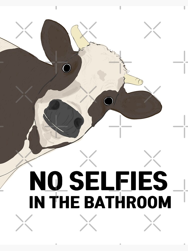 Funny Cow Bathroom Sign - No Selfies In The Bathroom - Funny Cow Bathroom  Sayings  Art Board Print for Sale by NoCapBro