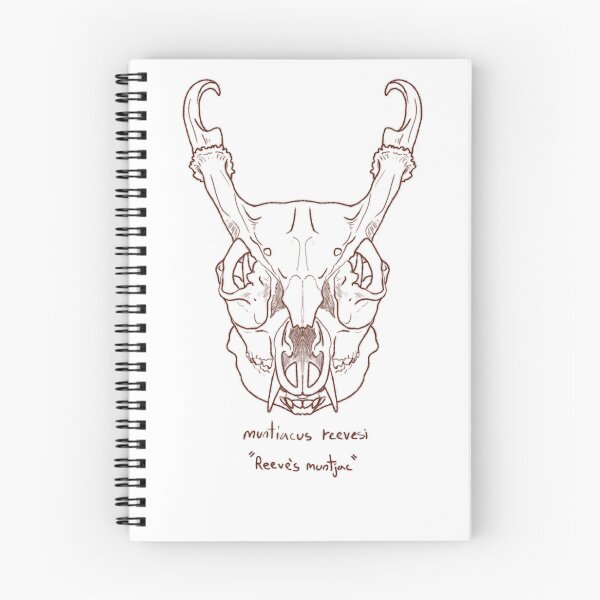 Item preview, Muntjac designed and sold by GrilledRetro.