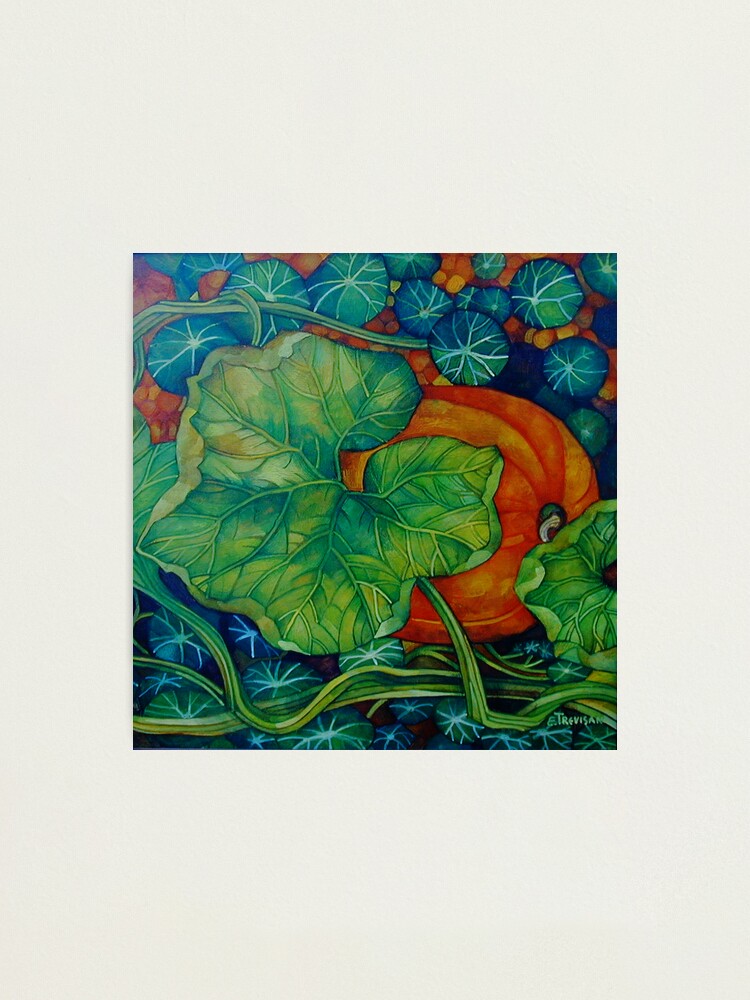 Alternate view of pumpkin Photographic Print