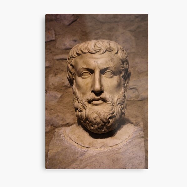 Metal Print