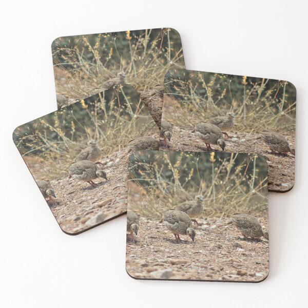 Item preview, Chukar Partridge Chicks designed and sold by Vicki Spindler (VHS Photography).