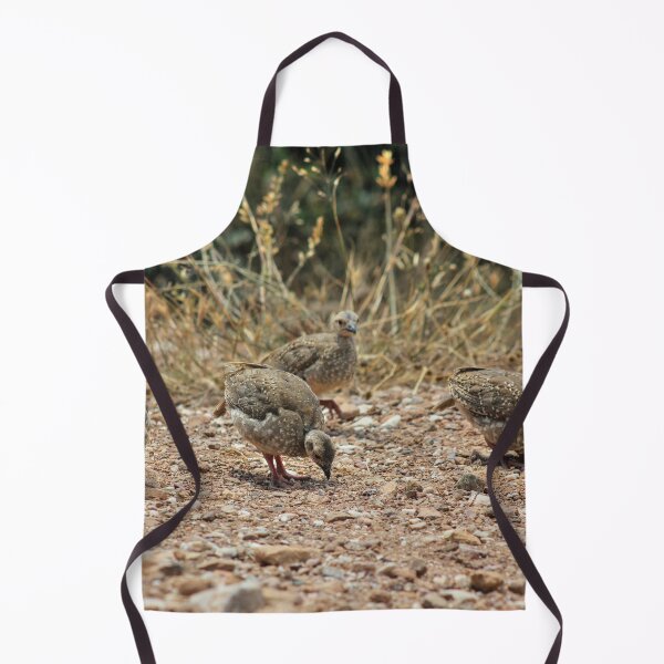 Item preview, Chukar Partridge Chicks designed and sold by Vicki Spindler (VHS Photography).
