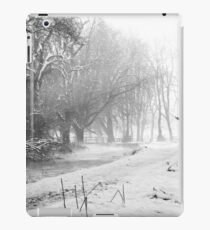 B&W Snow iPad Case/Skin