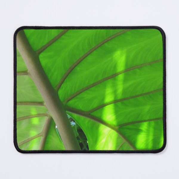 Item preview, Shadows designed and sold by rosiebrown.