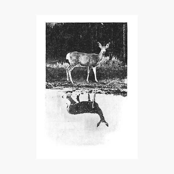 Item preview, Deer Lake 1909 Print  designed and sold by meckhard.