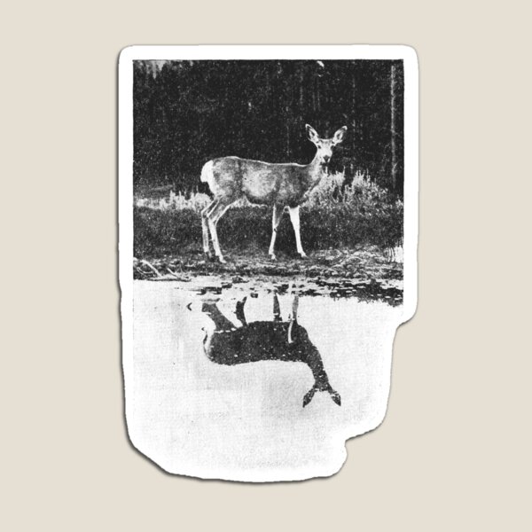 Item preview, Deer Lake 1909 Print  designed and sold by meckhard.
