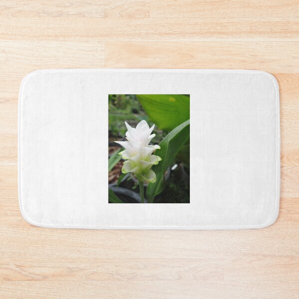 Item preview, Siam tulip is flowering plant, Curcuma sp. of the ginger family no. 1 designed and sold by greengoodnich.