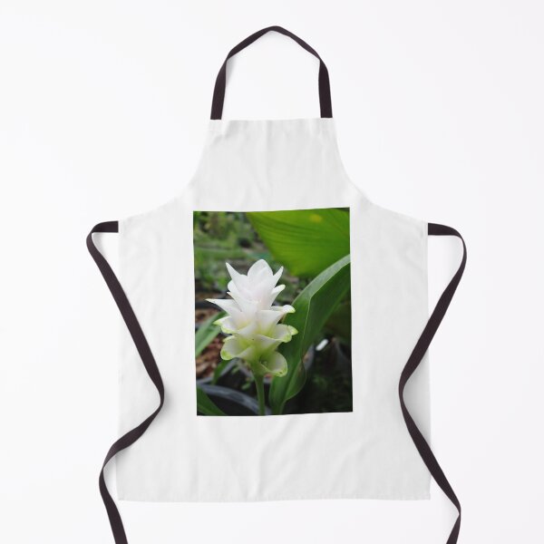 Item preview, Siam tulip is flowering plant, Curcuma sp. of the ginger family no. 1 designed and sold by greengoodnich.