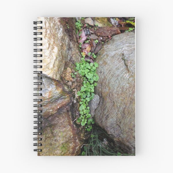Item preview, Rocky green designed and sold by susieterrell.