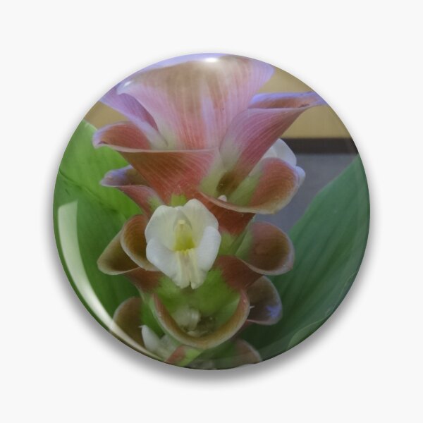 Item preview, Siam tulip is flowering plant, Curcuma sp. of the ginger family no. 2 designed and sold by greengoodnich.