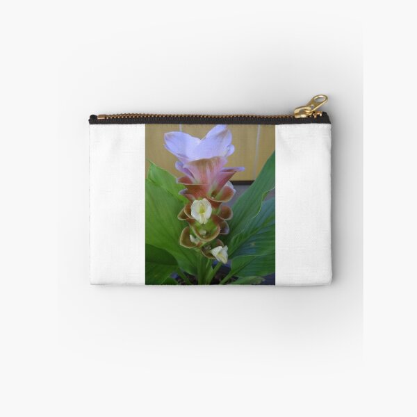 Item preview, Siam tulip is flowering plant, Curcuma sp. of the ginger family no. 2 designed and sold by greengoodnich.