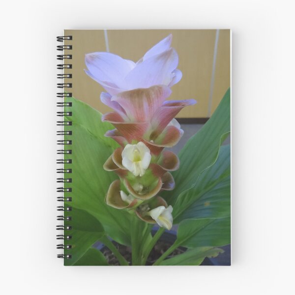 Item preview, Siam tulip is flowering plant, Curcuma sp. of the ginger family no. 2 designed and sold by greengoodnich.