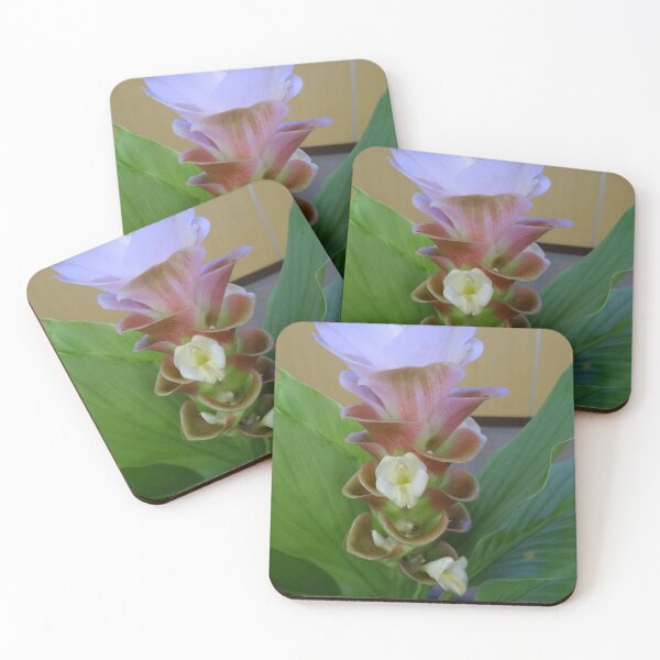 Item preview, Siam tulip is flowering plant, Curcuma sp. of the ginger family no. 2 designed and sold by greengoodnich.