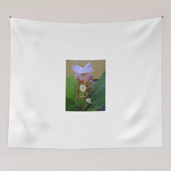 Item preview, Siam tulip is flowering plant, Curcuma sp. of the ginger family no. 2 designed and sold by greengoodnich.