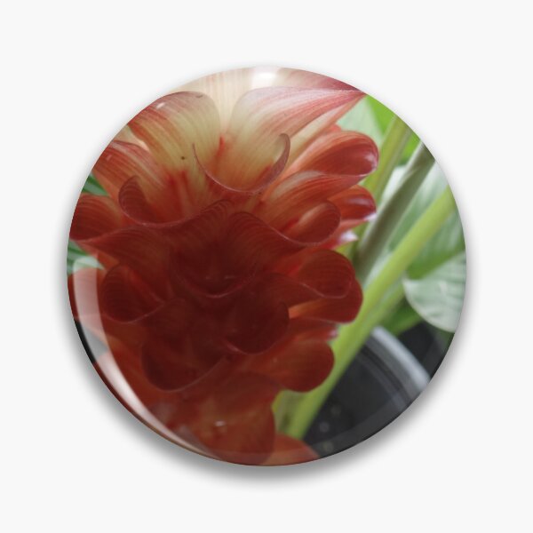 Item preview, Siam tulip is flowering plant, Curcuma sp. of the ginger family no. 3 designed and sold by greengoodnich.