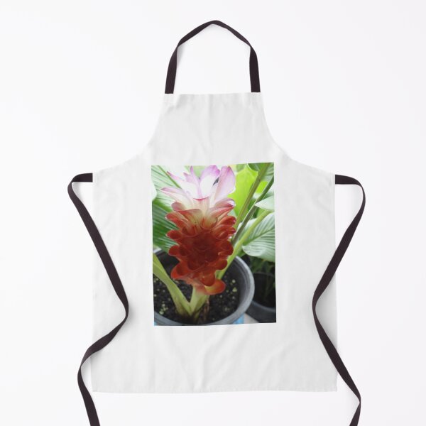 Item preview, Siam tulip is flowering plant, Curcuma sp. of the ginger family no. 3 designed and sold by greengoodnich.