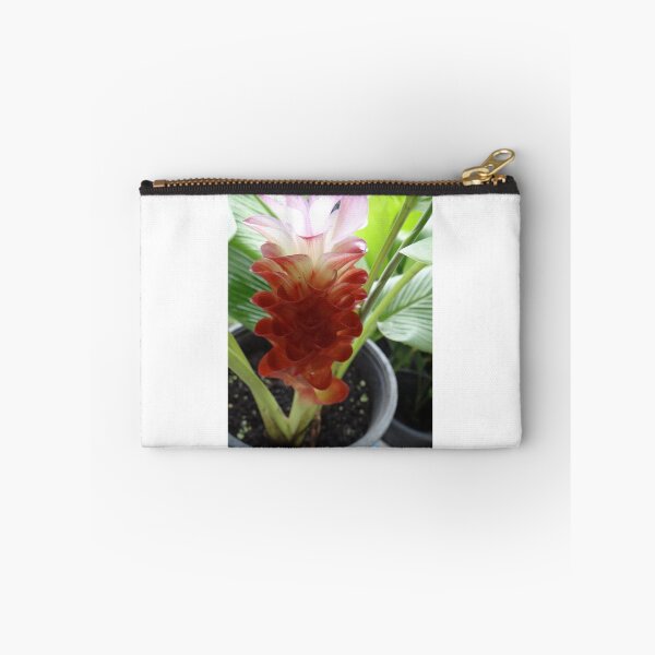 Item preview, Siam tulip is flowering plant, Curcuma sp. of the ginger family no. 3 designed and sold by greengoodnich.