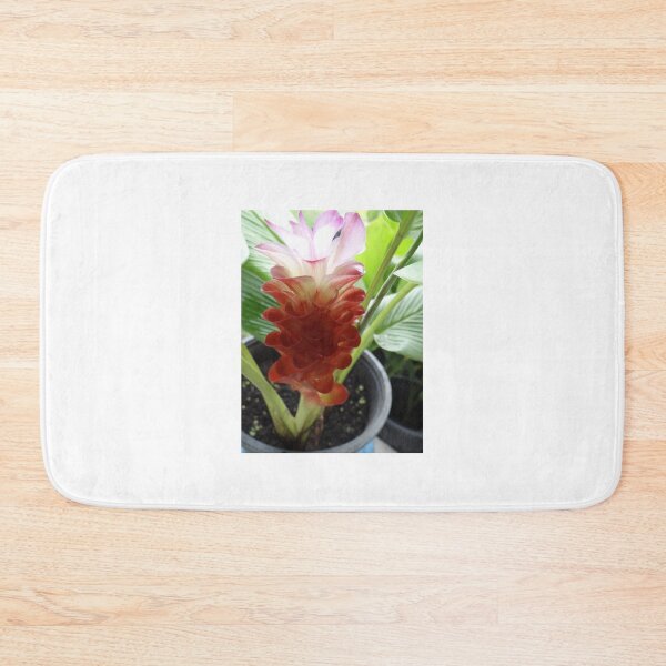 Item preview, Siam tulip is flowering plant, Curcuma sp. of the ginger family no. 3 designed and sold by greengoodnich.