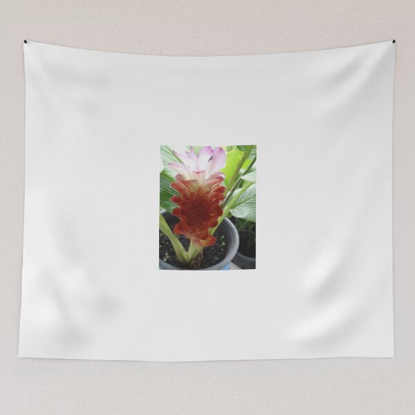 Item preview, Siam tulip is flowering plant, Curcuma sp. of the ginger family no. 3 designed and sold by greengoodnich.