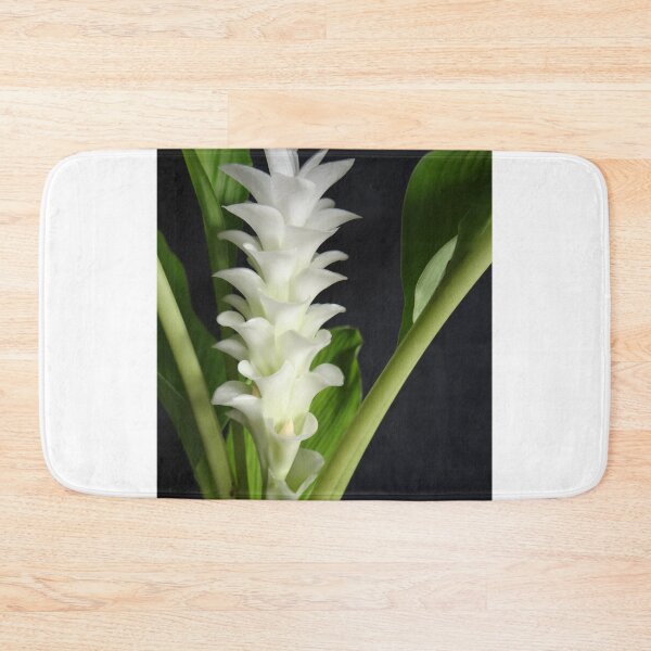 Item preview, Siam tulip is flowering plant, Curcuma sp. of the ginger family no. 4 designed and sold by greengoodnich.